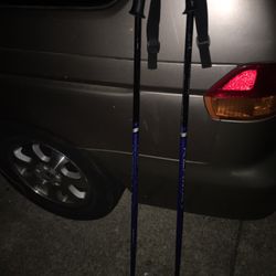 Very Nice Ski Poles Only $25 Firm