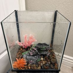 Fish Tank