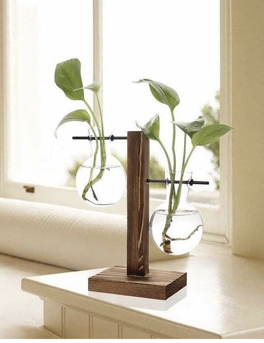 Plant Propagating Station 