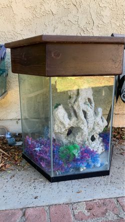 55 gallon hexagon fish tank