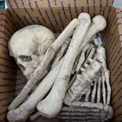 Sparkling Skeleton Bones Decoration