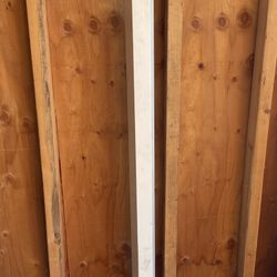 Detecto physicians scale