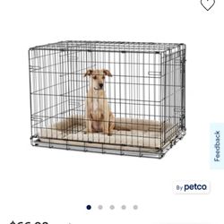 Med Dog Kennel