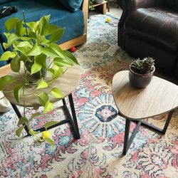 End Table Set (2)