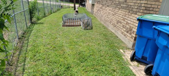 Ⓜ️🅾️WI🆖️