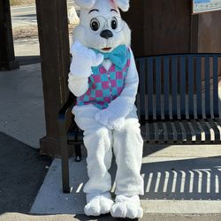 Easter Bunny Book Now