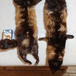 Vintage Mink Pelt Scarf Wrap