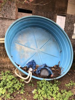 Kids pool/ animal feed