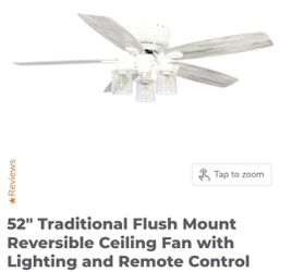 Ceiling Fan w/ beachy vibe