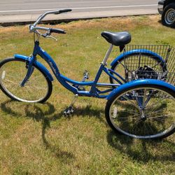Adult Trike