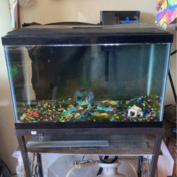 Aquariums Of All Sizes . Ask For Prices 