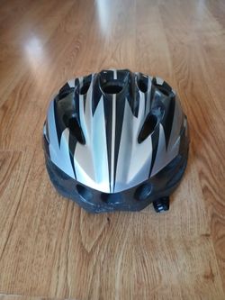 Silver and Black Bike Helmet