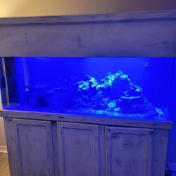 120 Gallon Aquarium