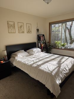 IKEA Malm Queen Sized Bed Frame with Headboard - Black