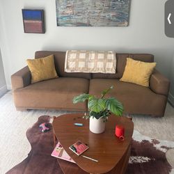 Brand new Velvet couch- living spaces