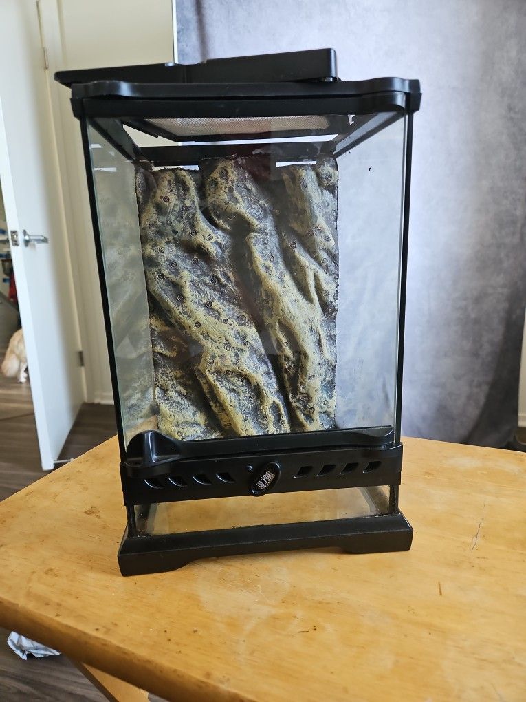 Small Reptile Tank