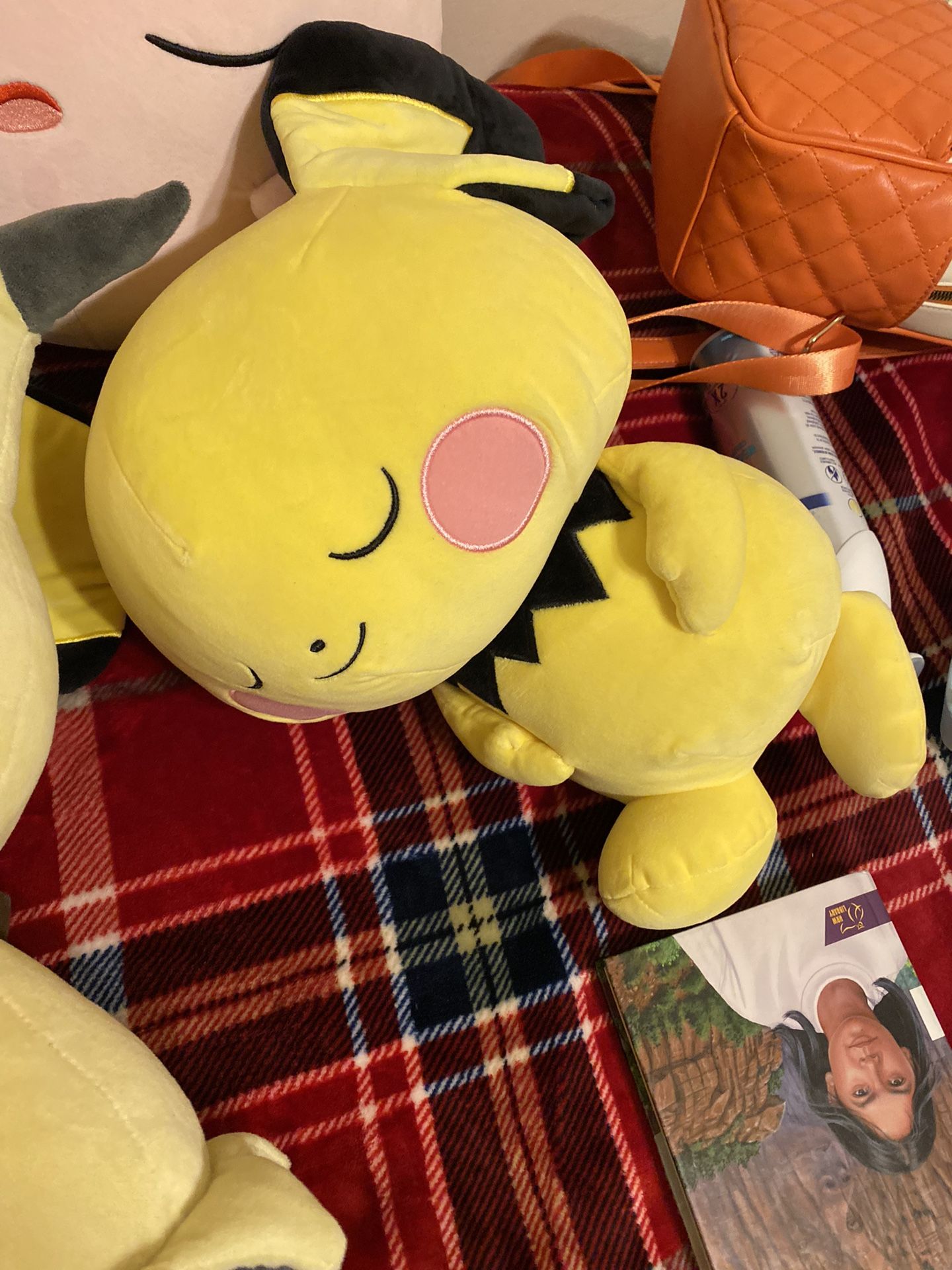 Sleeping Pikachu