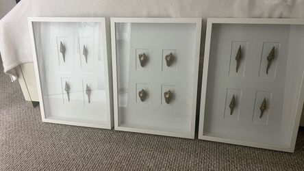 Shadow Box Seashell Wall Art Set of 3