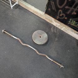 Curl bar + Two 25lb plates