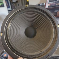 Fender squire champ 15  speaker