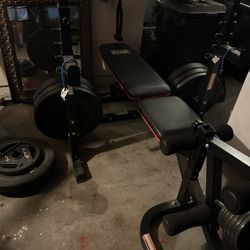 Workout Bench And Rack 