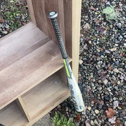 Rawlings Baseball Bat with Gray Grip