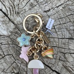 Coach multi Bag Charm 