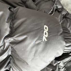 North Face 700 Puffer