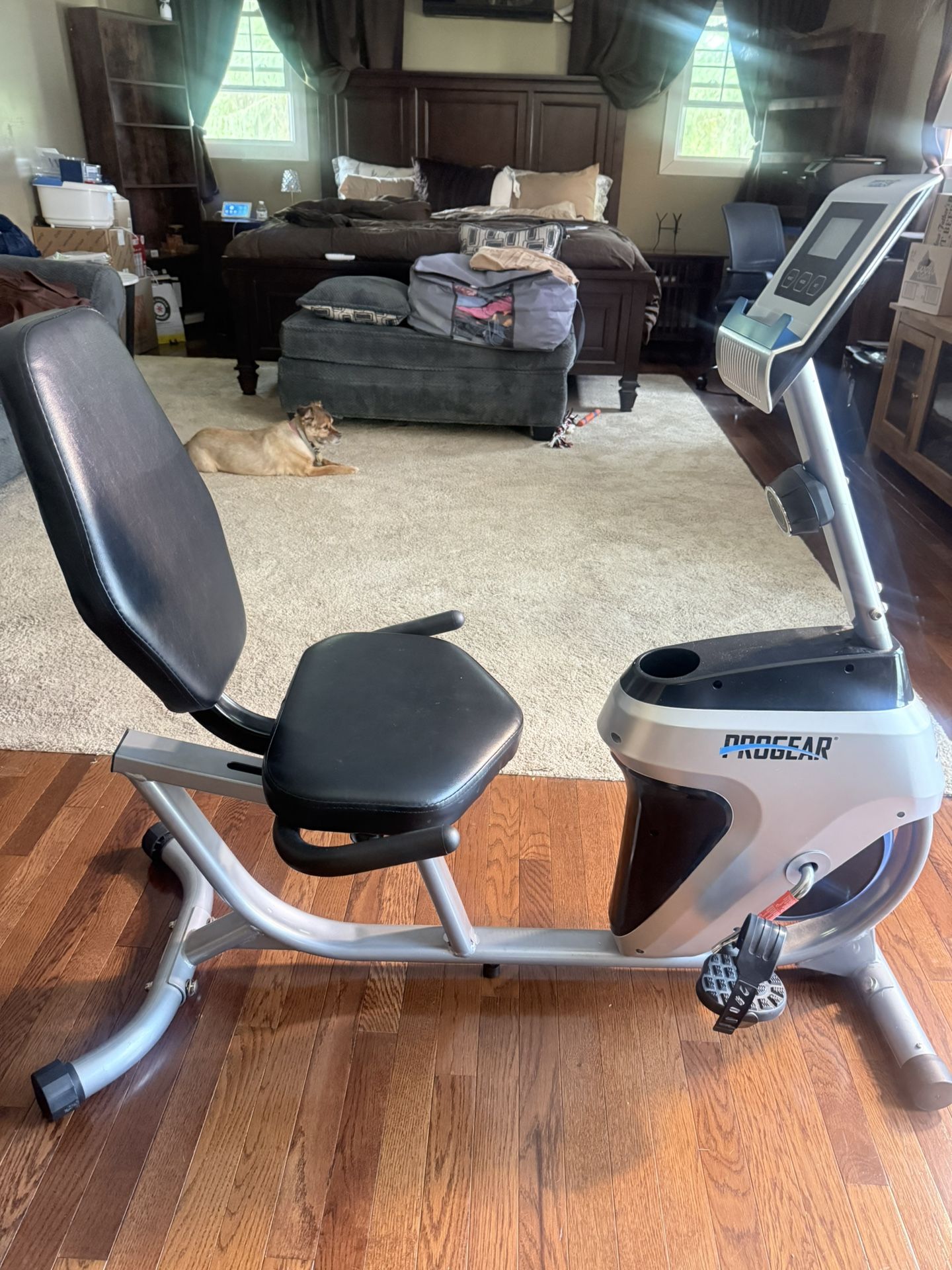Recumbent Bike