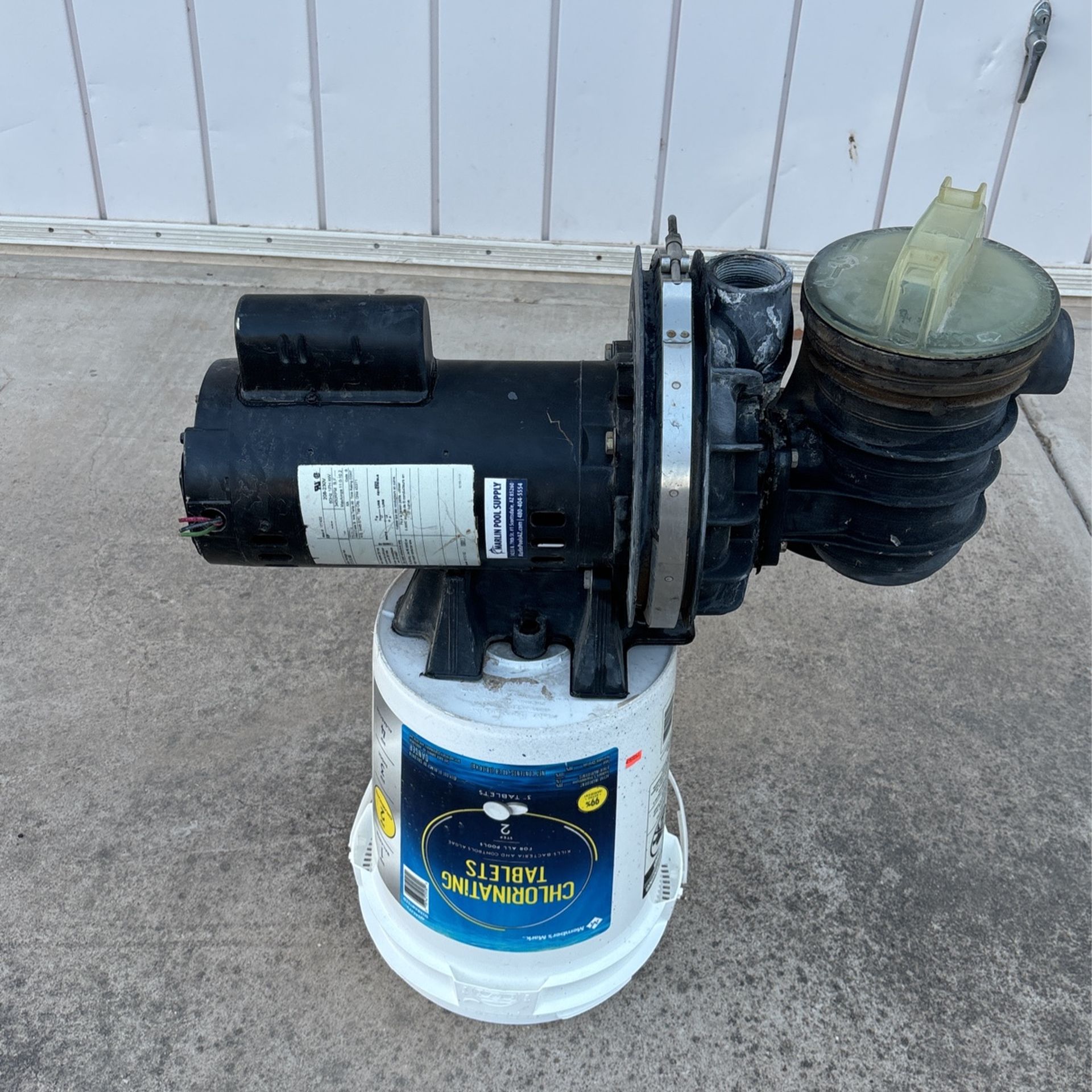 Pool Pump Motor