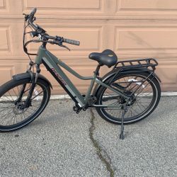 electric bicycle
