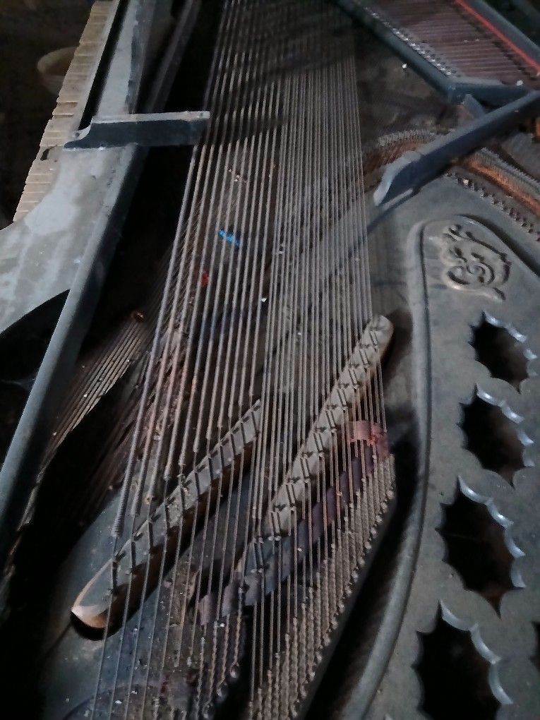 Steinway Piano