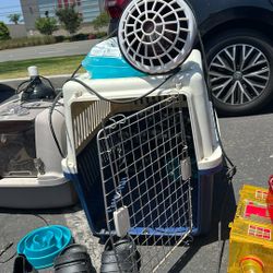 big pet cage, mainly dogs and puppies 