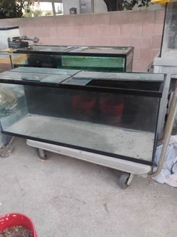 110 Gallon Aquarium with Stand