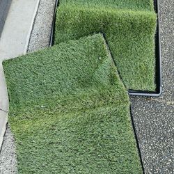 Dog Grass Pad