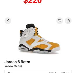 Jordan 6 Retro Yellow Ochre (9.5)