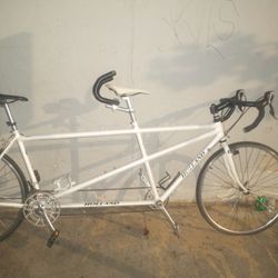 Holland Double Seat Bike 