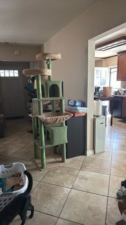cat tree