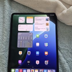 13 Inch M4 IPad Pro 1TB Wifi + Cellular