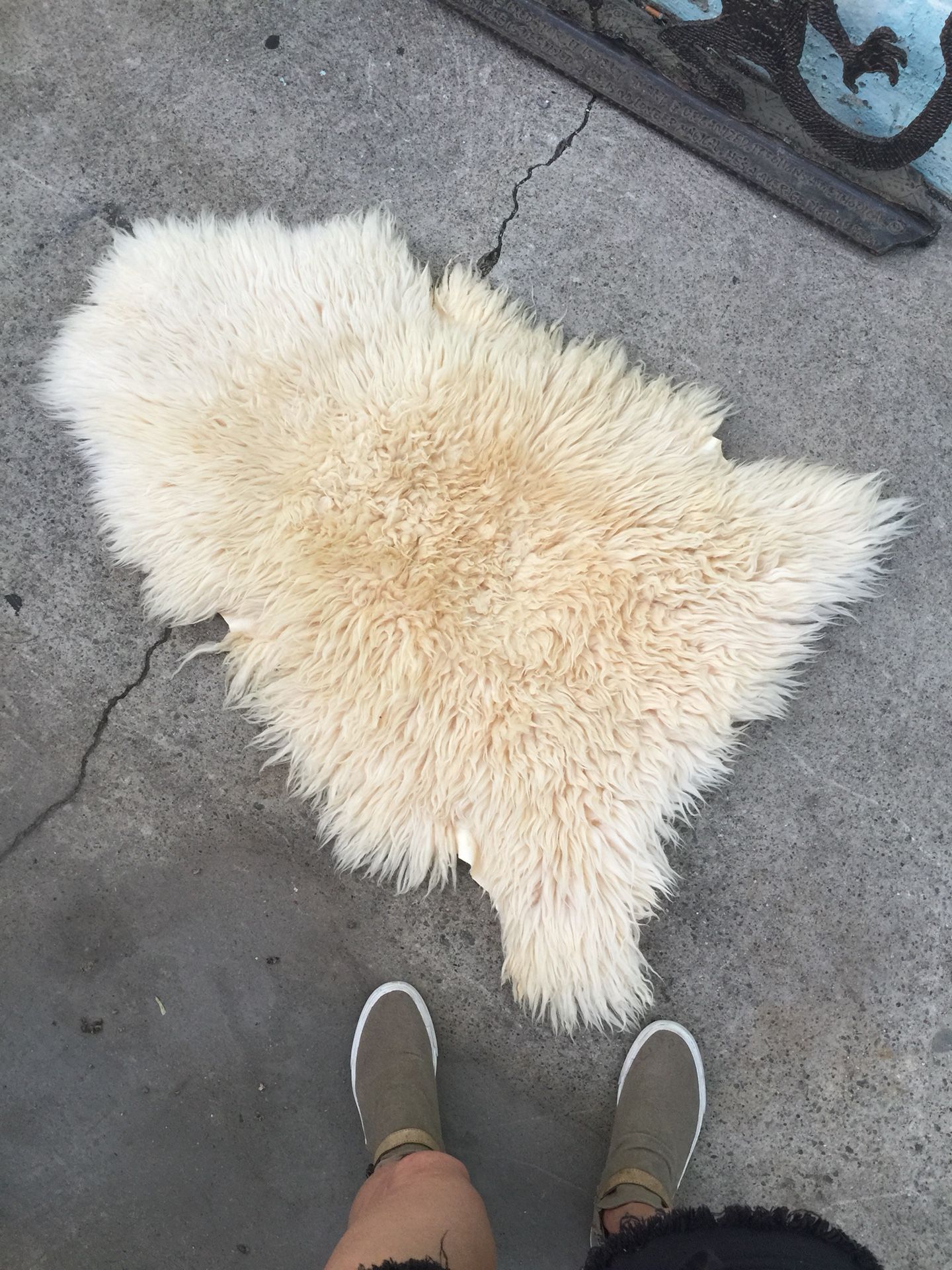 Sheep skin