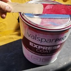 Bright Pink Full Gallon Paint