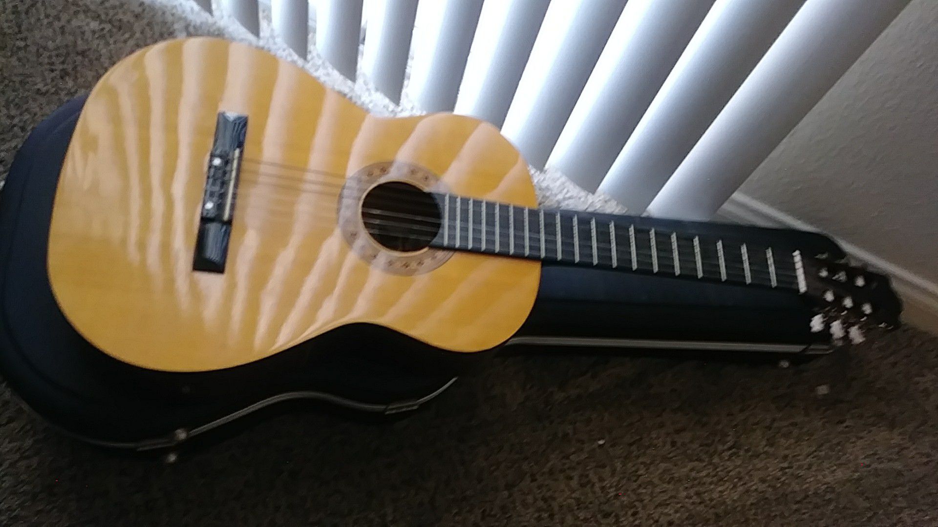 Acoustic Guitar and Hard Case
