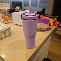 Brumate Water Bottle 