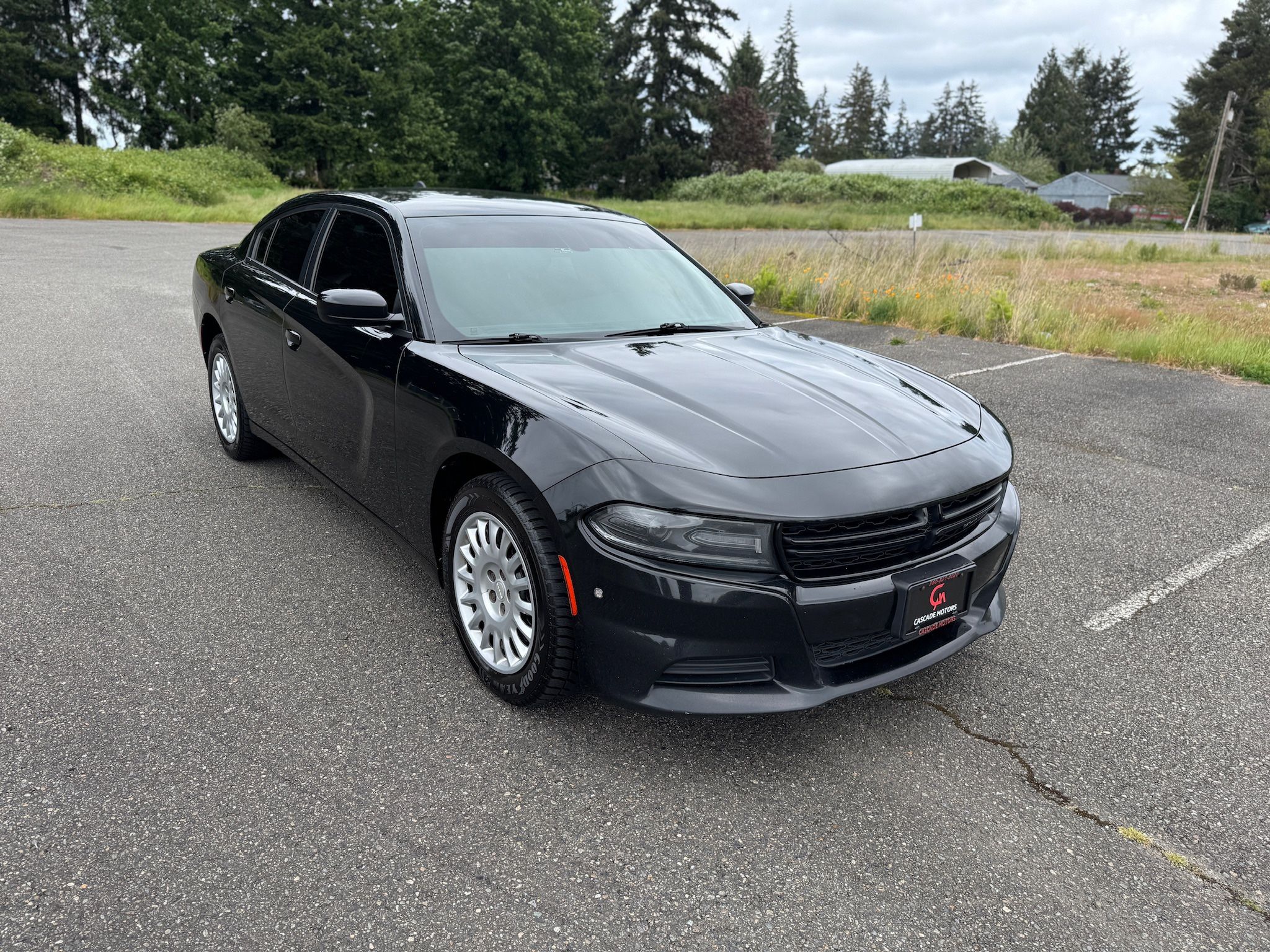 2019 Dodge Charger