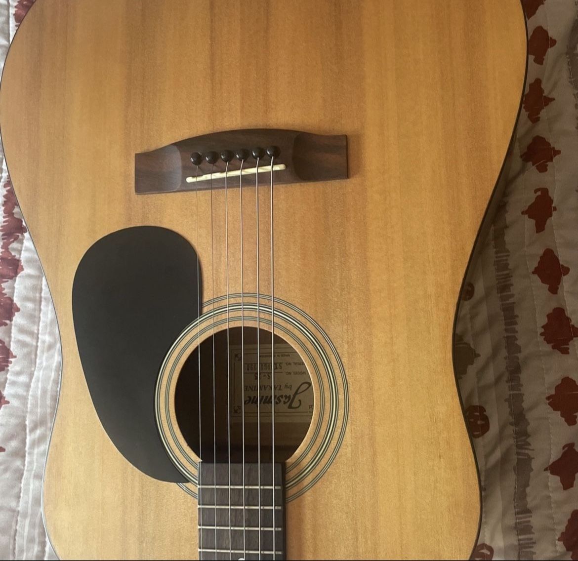 Takmine Guitar