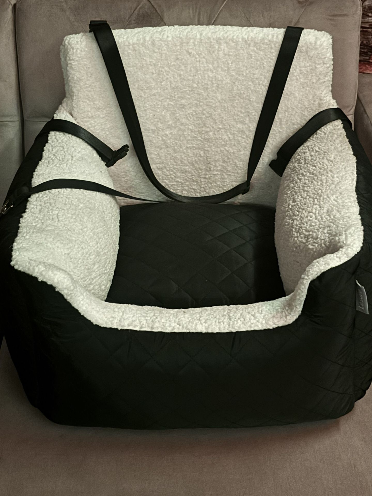 Small Dog Car Seat