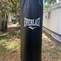 Everlast Punching Bag