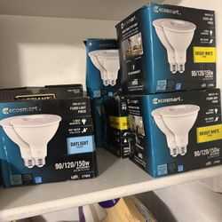 EcoSmart 90/120/150-Watt Equivalent