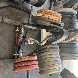 Standard Plate Set