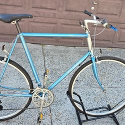 Raleigh Technium usa 440 64cm 25 inches City bike....